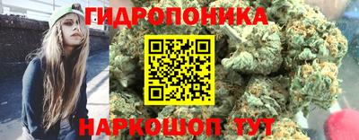МДМА Камышлов