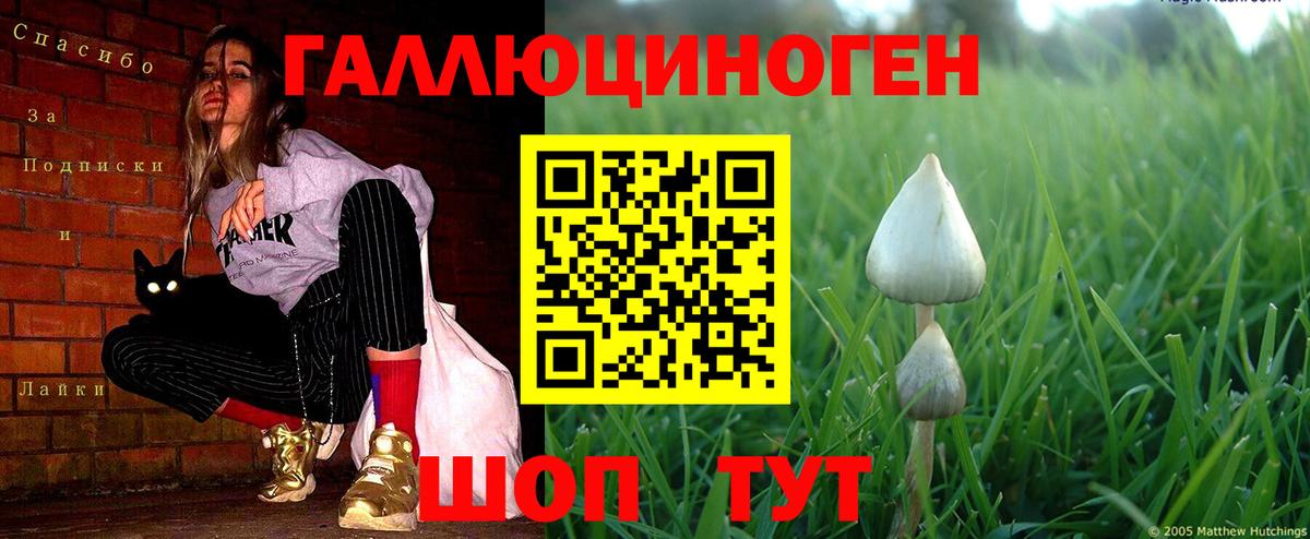 Псилоцибиновые грибы Magic Shrooms Владимир
