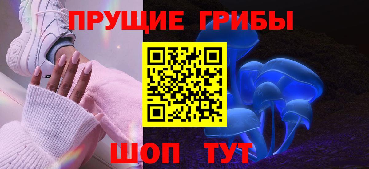 Владимир  Галлюциногенные грибы ЛСД  Псилоцибиновые грибы мухоморы  Вход с VPN 